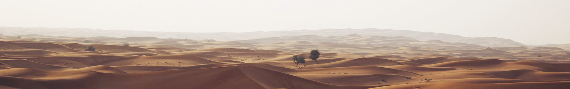 ɽïƼ޹˾